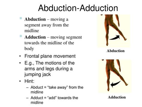 what is abduction movement|examples of adduction.